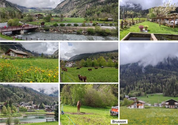 Elveţia la superlativ - oraşe exclusiviste, gheţari şi trenuri printre nori